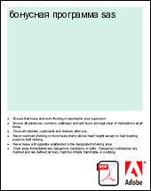 �������� ��������� sas