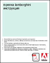 ������a lamborghini ����������